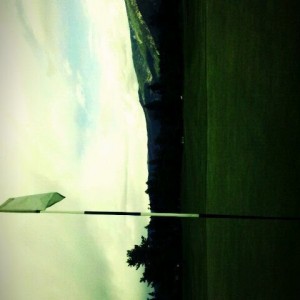 Closest I've ever gotten to hole in one. From 190 yards