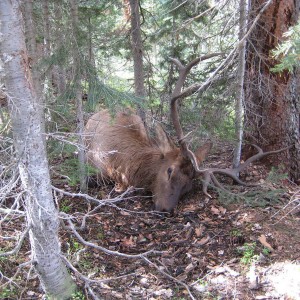 Elk_Camp_2009_223-1