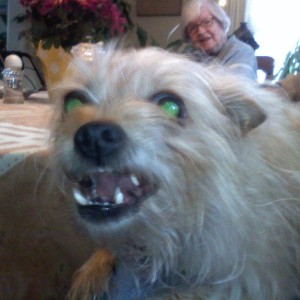 EFFNGrrrr!