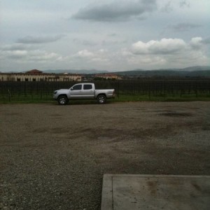 vineyard