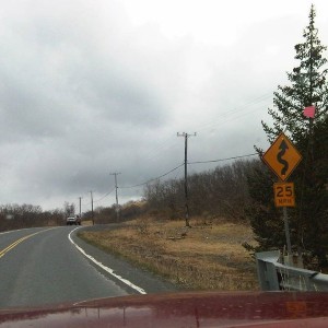 The sign by the truck says 50...lol bitches need to get their signs right!