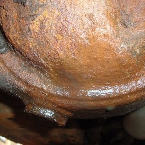 DSC01514