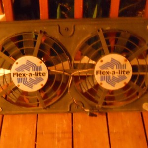 Picture_350