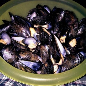 Gods food