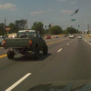 Rhino lined taco!