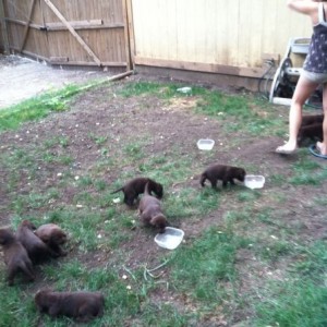 I'm bein overrun