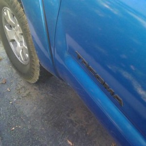 Black Painted Emblems