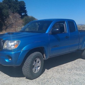 Nittos and billies