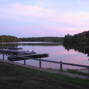 TN Land