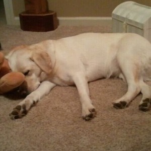 Baby sleeping with Pooh