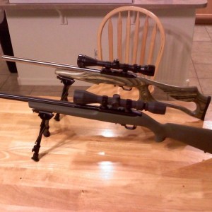 My brother from another mother just built me this (foreground). Ruger 10/22