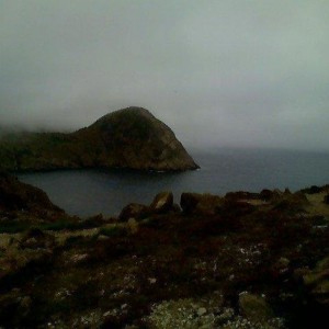 Newfoundland Drunken Adventure