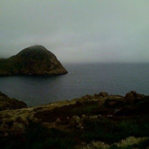 Newfoundland Drunken Adventure