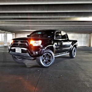 Black beauty