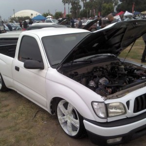 liveNbf66y