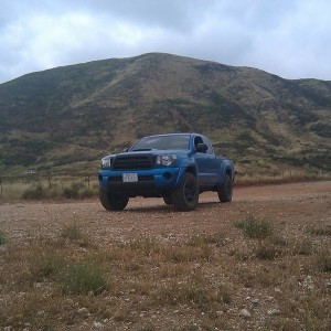 Rowher_9