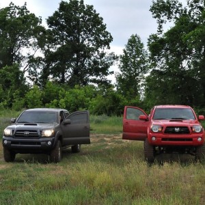 May Meet