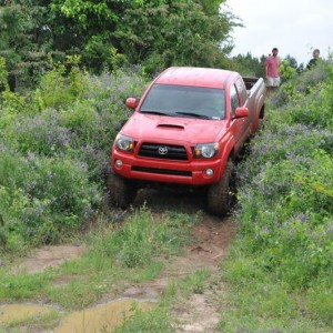 May Meet