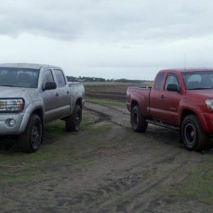 Muddin