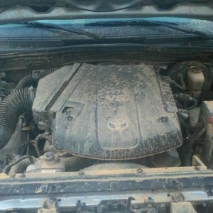 2011-05-15_06-31-00_61