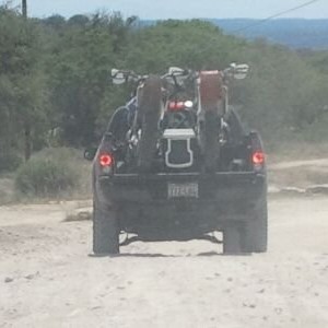 imagejpeg_24