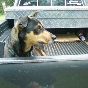 Went for a ride