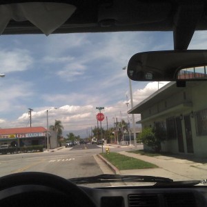 My lunch time window view