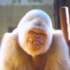 Vanilla_Gorilla