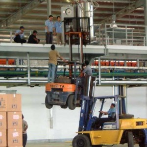 Daisy_Chain_Forklifts