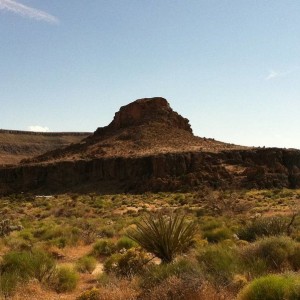 Mojave trip