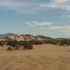 Mojave Run