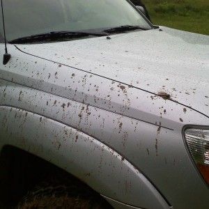 the first mud on her.