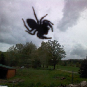 On the OUTSIDE!