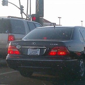 liveqRqfdv