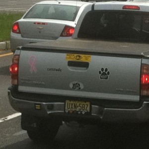 Better be a chick driving...