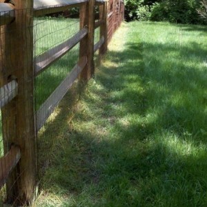 Fuckin neighbor is going to get his ass chewed out. Bastard went on to my p