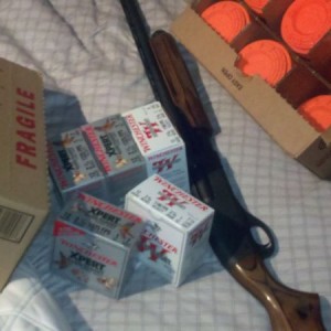 Ready for round two! :) I'm getting better at this skeet shooting stuf