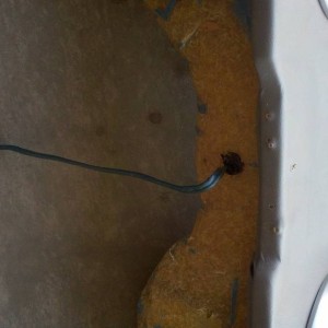 boxwire