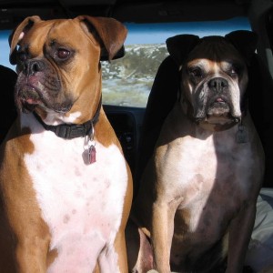 GEORGE_AND_KANOA_028