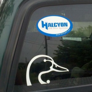 Wtd! What the duck!