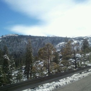 Almost in reno