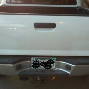 Tinted Tail Lights