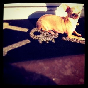 Killer, kill!