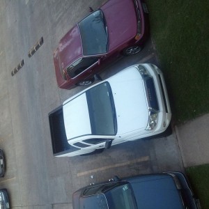 Sittin perty