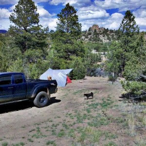 Free camping