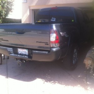 Plasti dipped