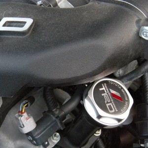 DSCN1335