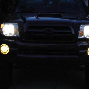 Fogs9