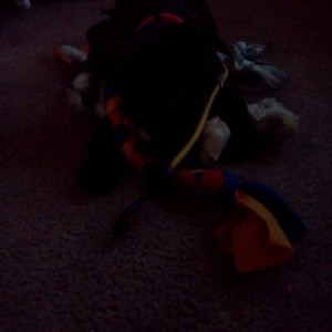 Spoiled rotten..