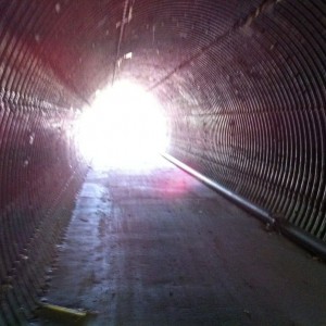 I see the light